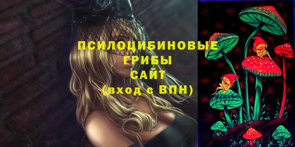 Альфа ПВП Медногорск