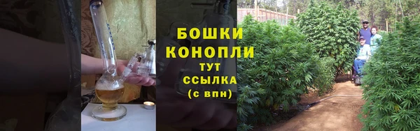 ПСИЛОЦИБИНОВЫЕ ГРИБЫ Мегион