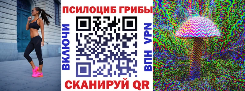 продажа наркотиков  Шенкурск  Галлюциногенные грибы Psilocybine cubensis 