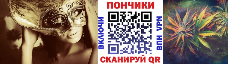 Бошки Шишки LSD WEED  где найти наркотики  ссылка на мегу вход  Шенкурск 